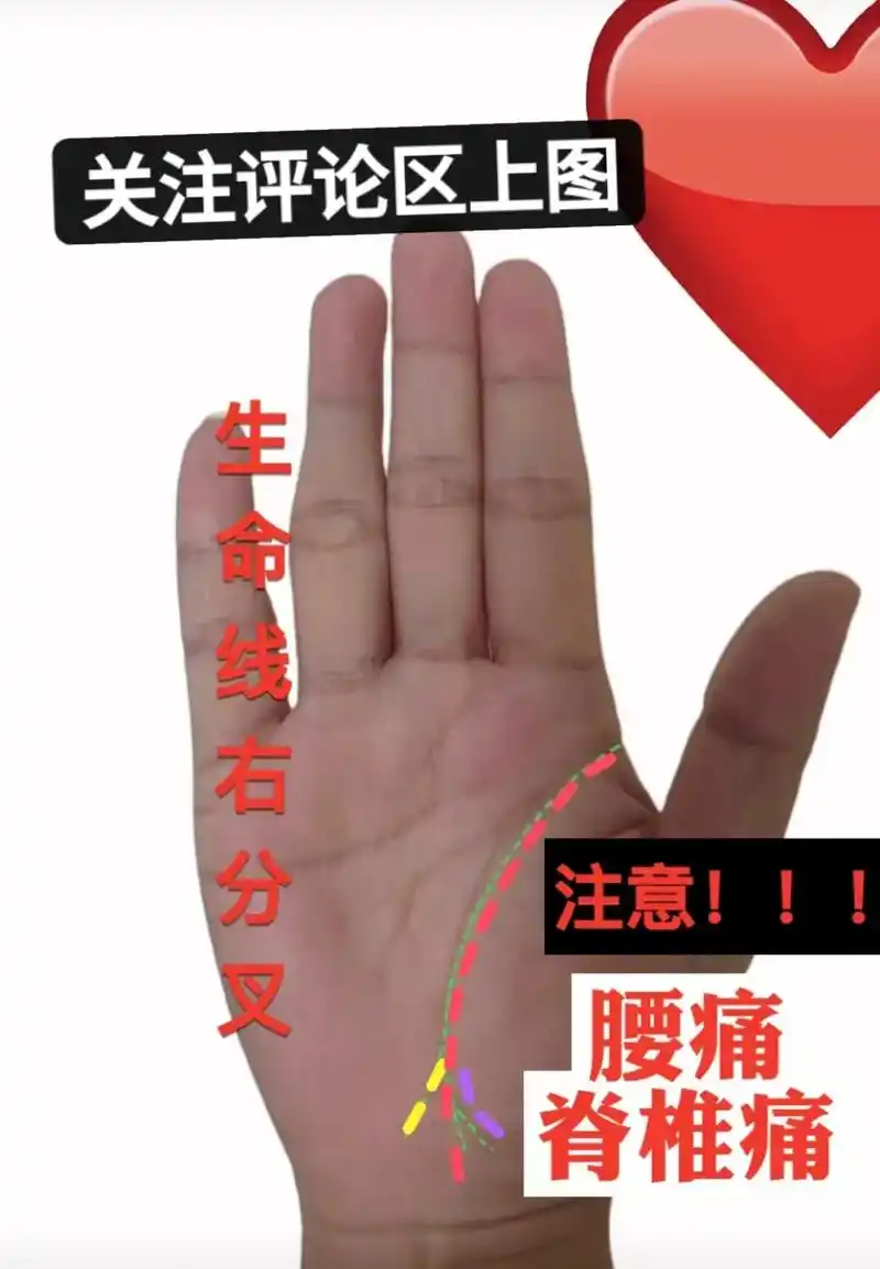 上热门 (相信科学)生命线出现右分叉,而且这个分叉比较靠前 - 兑趑