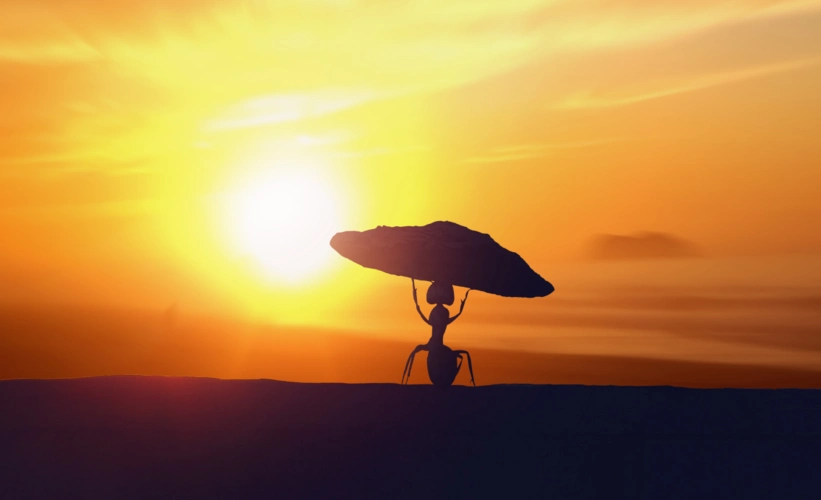 人生的十大意境,现实的真实人生