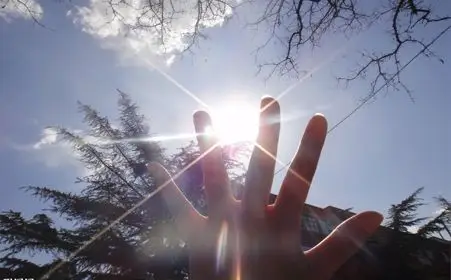 男子看中贝纳利黄龙 烈日下蹲守6小时将车偷走