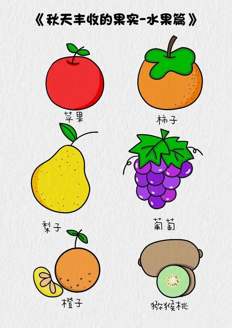 秋天丰收的果子/水果简笔画教程.几款秋天的水果简笔画,简单好 - 抖音