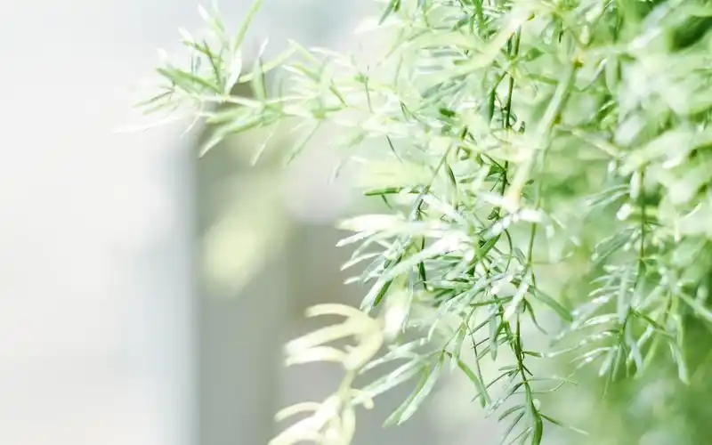 清新文艺简约图片 精美简约高清壁纸