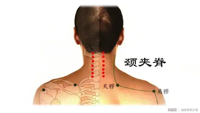 健康哥给你分享如何通过艾灸来调理颈椎病