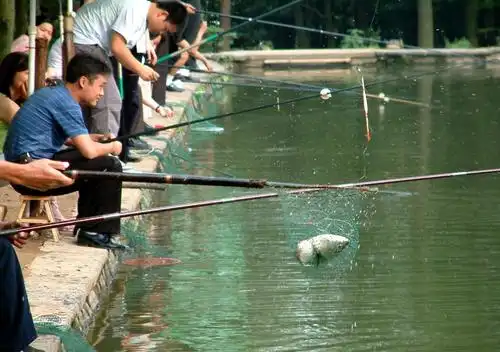 钓鱼时偷放2滴小药,整个水库的鱼全聚过来,难怪鱼塘老板都禁用