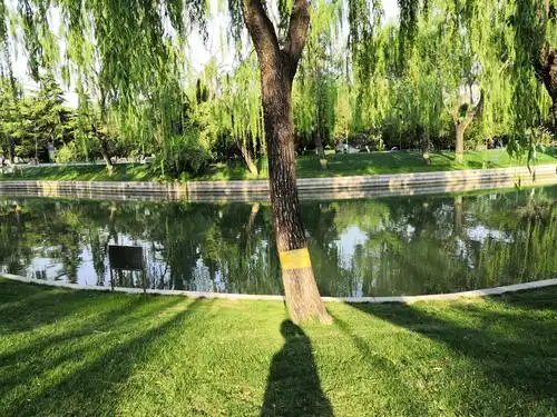 阳光明媚的早晨逛龙潭湖公园