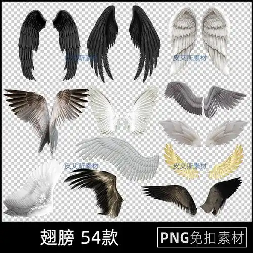 翅膀素材网站建设ppt的简单介绍 - 户外乐