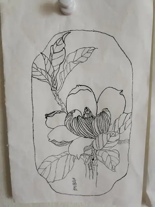 小朋友白描习作