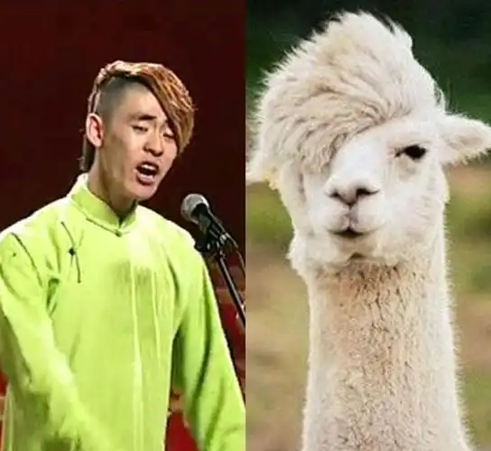 张云雷发型承包了整个动物园,粉丝:看到最后一张,想脱粉!