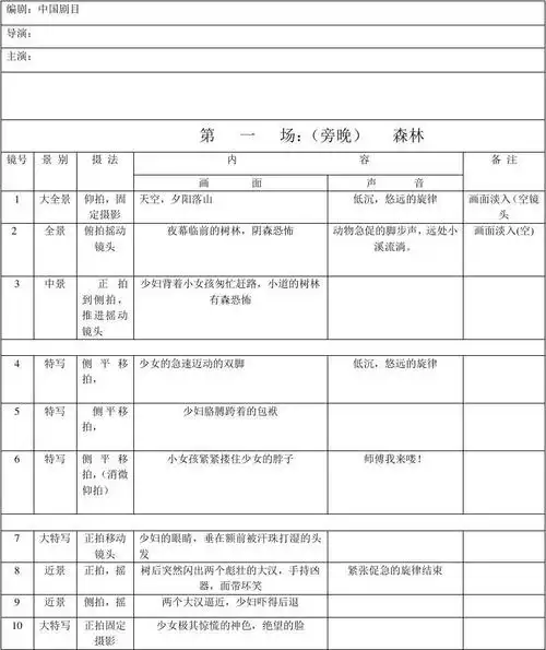 分镜头脚本表格-——示例