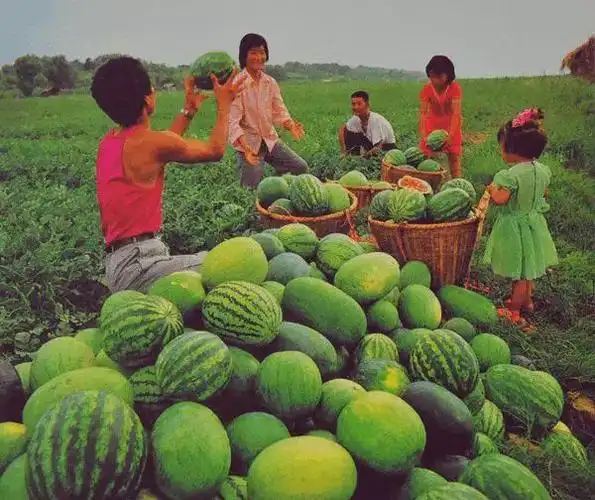 80年代武汉的记忆大量老照片首次公开