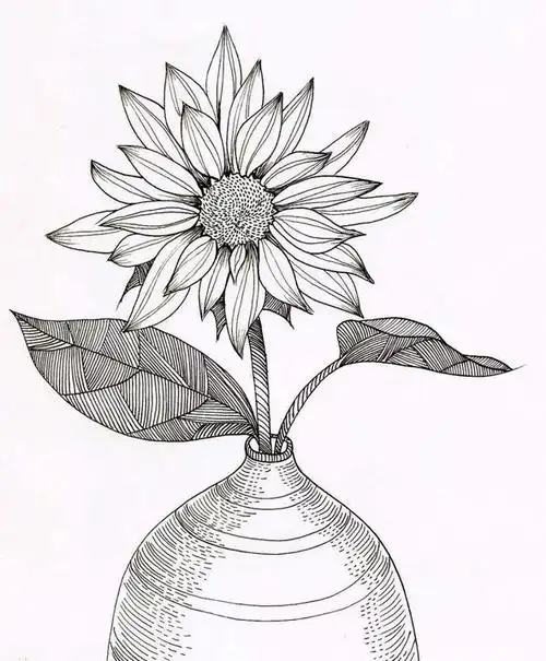 好看的线描画范画家里有爱画画的小朋友收藏看小小画家多练习