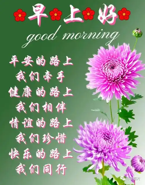 今天最美早安问候祝福语今日精选早安问候图片