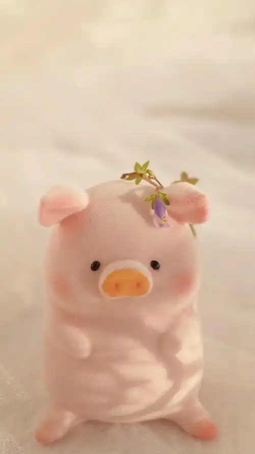 可爱调皮的小猪静物背景图