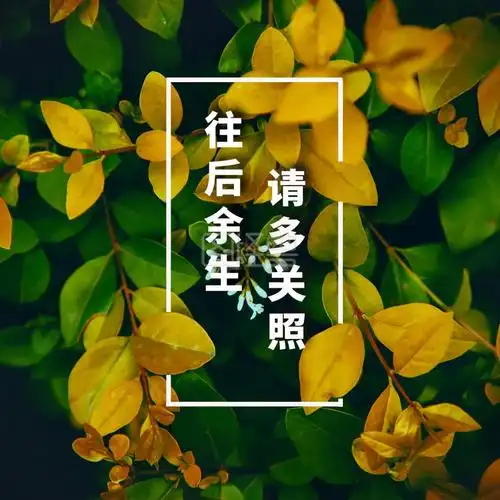 往后余生请多关照花草文艺黄绿治愈