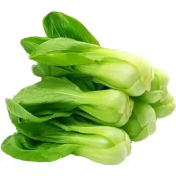 素界农场自种自产新鲜蔬菜青油菜小白菜青菜自产自销精品油菜三斤实惠