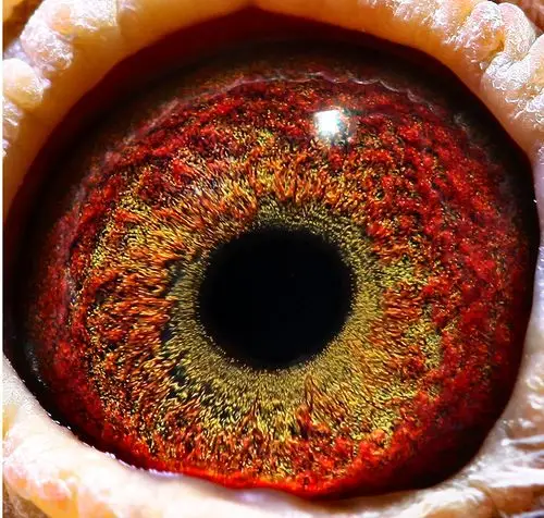 >> 查看拍卖商品