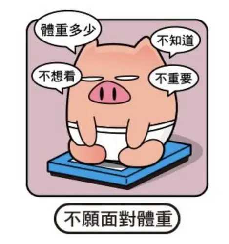 大概就是体重秤上的数字.