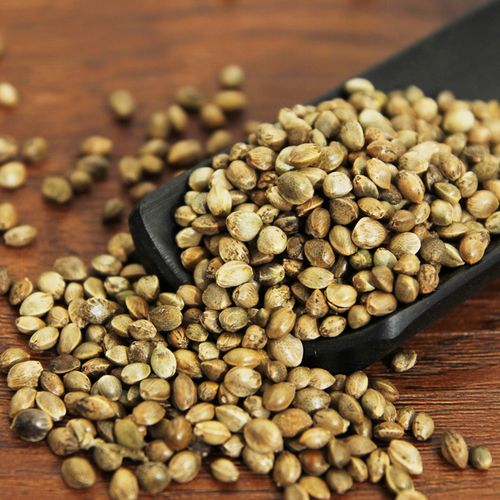 中药材火麻仁线麻子500克麻子仁火麻子火麻籽生麻仁麻实线麻仁