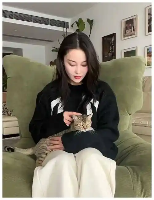 张馨予分享家猫萌照复古婚房内景何捷低调出镜