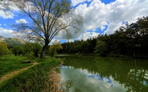 法国,树木,湖泊,云彩,大自然
