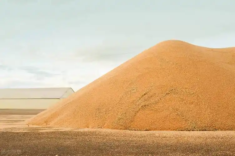 收获粮食堆成仓,众人一起收割忙,沉甸甸的谷穗又粗又长.