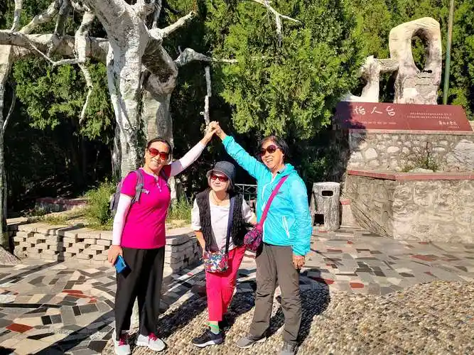 这个三人组合姿势摆的很漂亮啊!