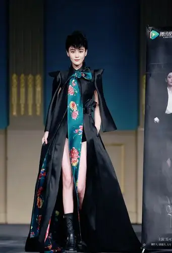 张馨予性感长裙礼服高清图片