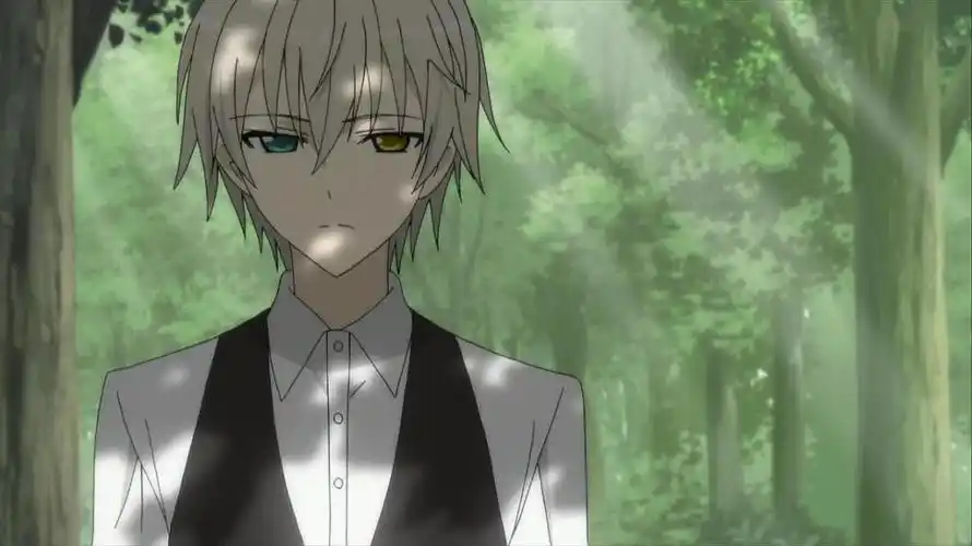 御狐神双炽.属性:妖狐.《妖狐Ⅹ仆ss》