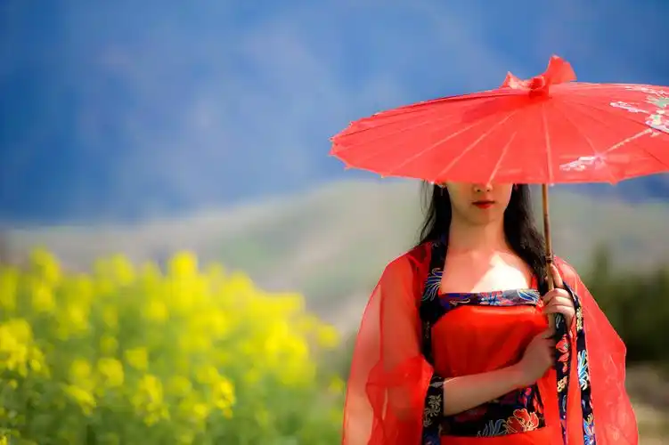 何处醉春风长安西复东秦岭秦岭脚下的普罗旺斯