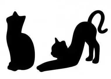 两只猫与阴影两个猫咪与影子矢量