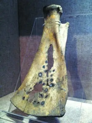 二里头遗址出土的卜骨.