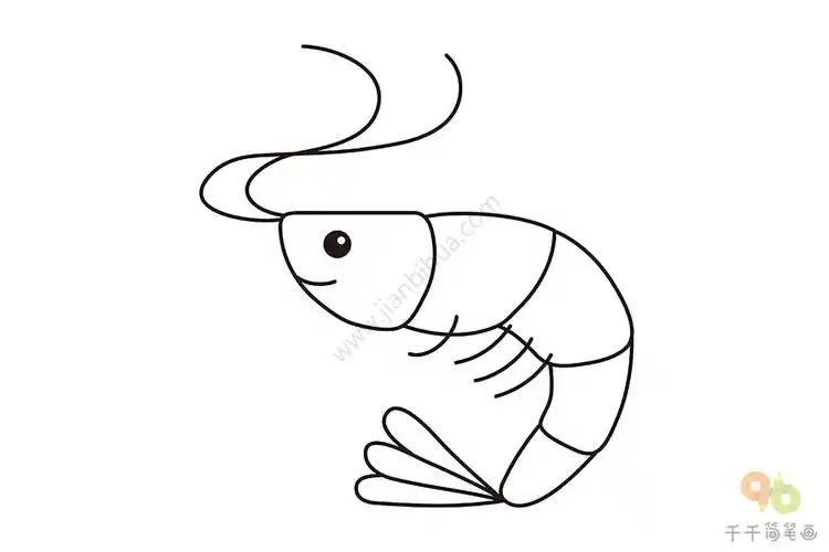 虾简笔画画法