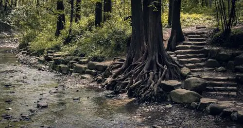杭州九溪十八涧