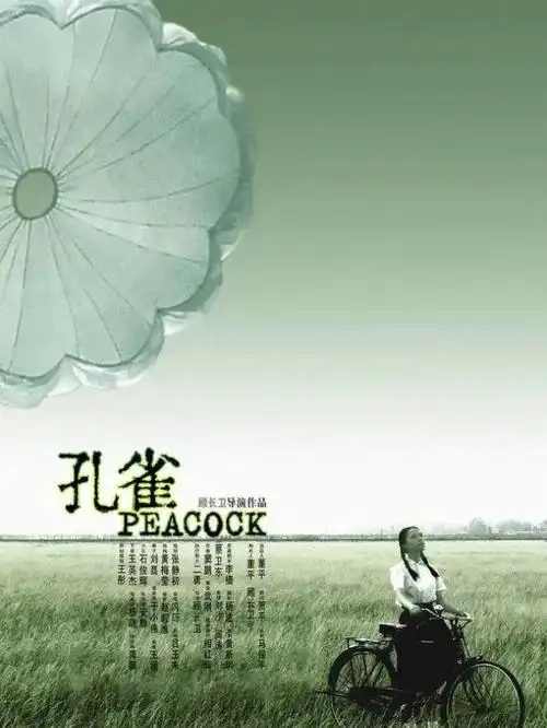 电影  #影评 #孔雀顾长卫不愧是"名摄影"出身,他的作品的每一帧都好