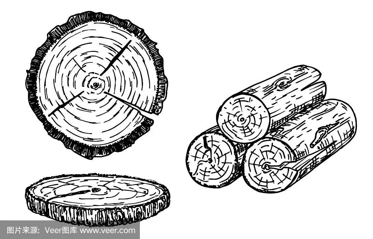 原木树干素描手绘