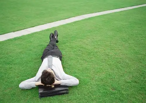 西方人,一个人,商务人士,商务男性,躺,横图,俯视,室外,白天,衬衫,草地