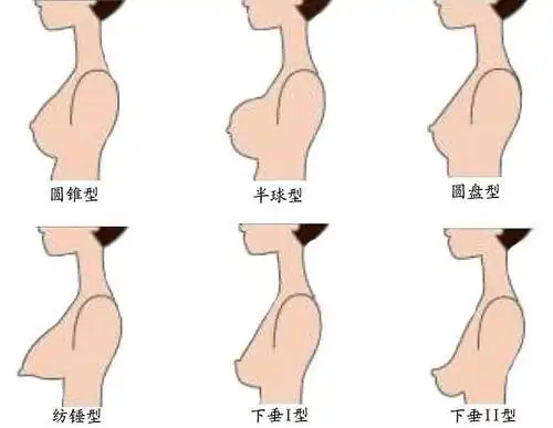 宾阳网首页 互联 健康 > 正文  二,乳房发育过程图 乳房与人的相貌一