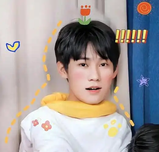 张真源伊丽莎白表情包