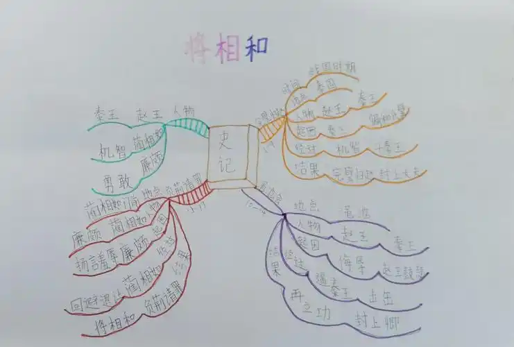 五年级上册课文思维导图