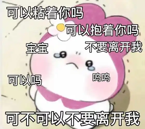 可以粘着你吗可以抱着你吗宝宝不要离开我可以吗呜呜可不可以不要离开
