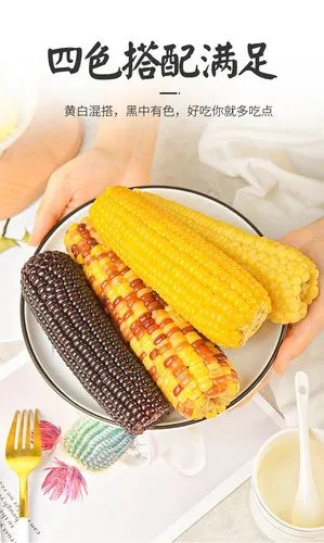 新鲜东北甜粘软糯黄玉米真空代餐白黑玉米棒苞米粗粮批发 黄金糯6支装