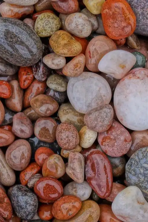 湿鹅卵石,石头 iphone 壁纸