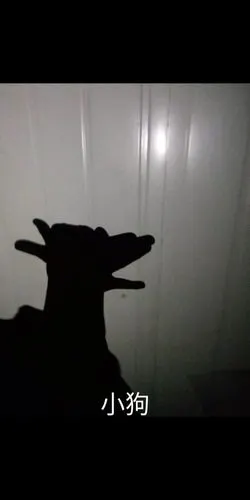 杨涵雁手影游戏