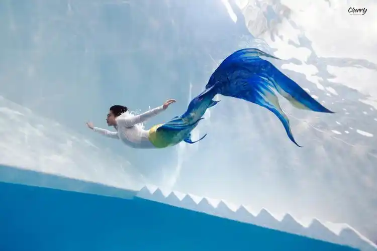 人鱼王子长意这是你的大尾巴吗