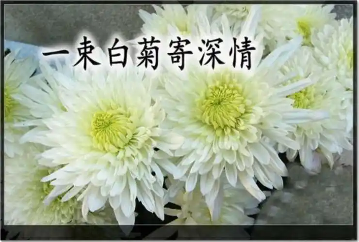 地怀念您 寄一份永远的哀思 道一句由衷的问候 爸爸您在天堂还好吗