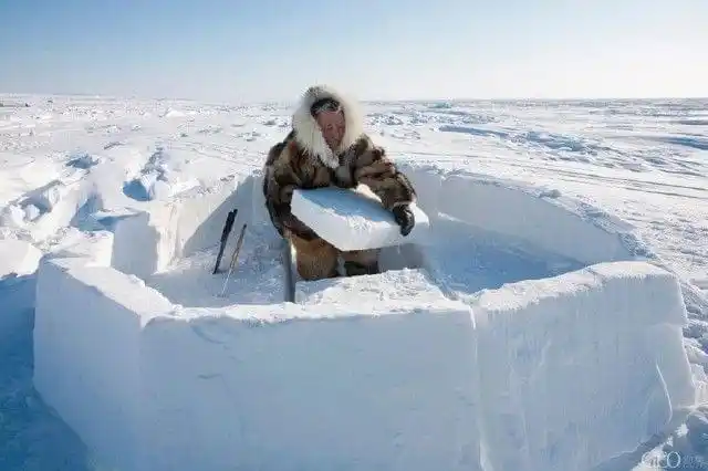 实拍北极圈因纽特人生活喜爱生吃猎物一个辣椒14美元