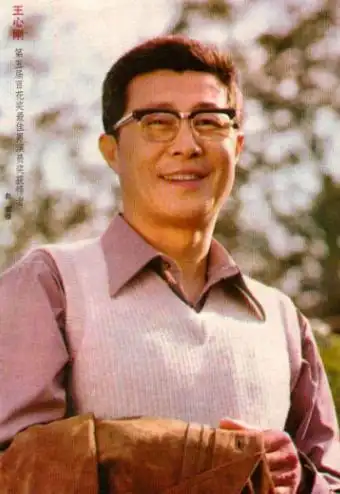 深深地印在了当时许多年轻女性的脑海里,王心刚也因此成为她们心中的"