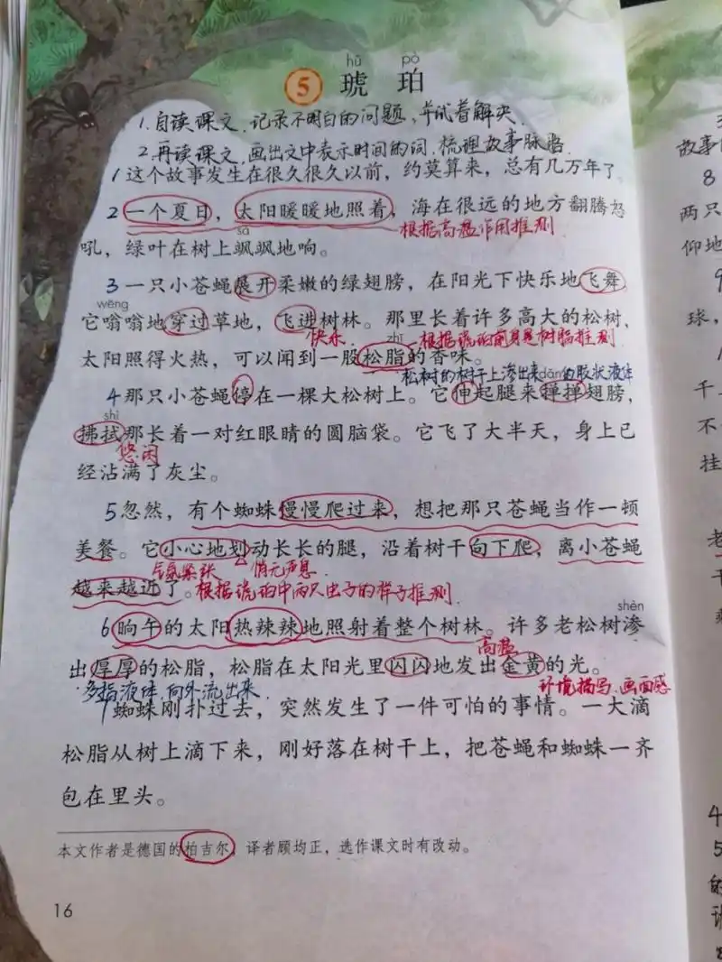 【备课笔记】四下语文《琥珀》