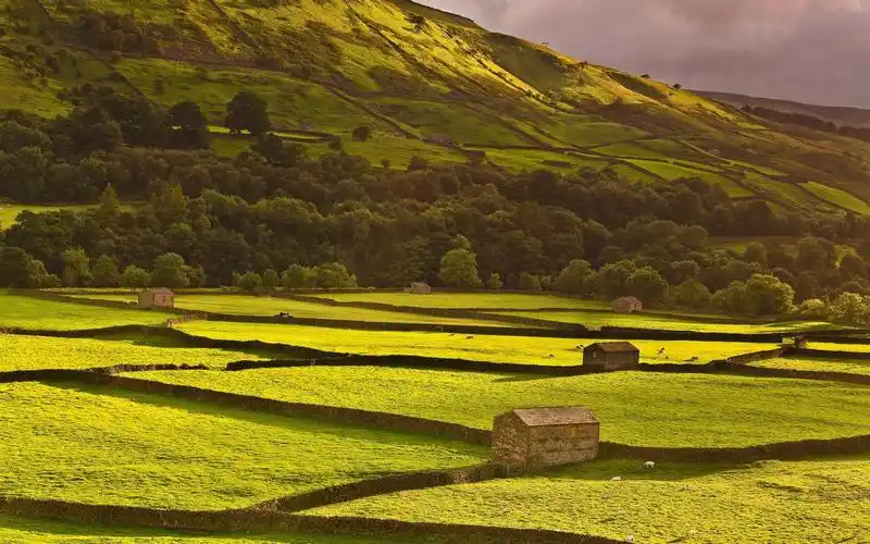 绿谷壁纸的围栏牧场1440x900分辨率查看