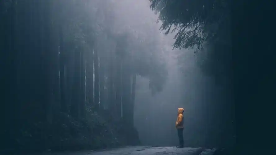 10张免费通用的快手抖音主页封面背景图