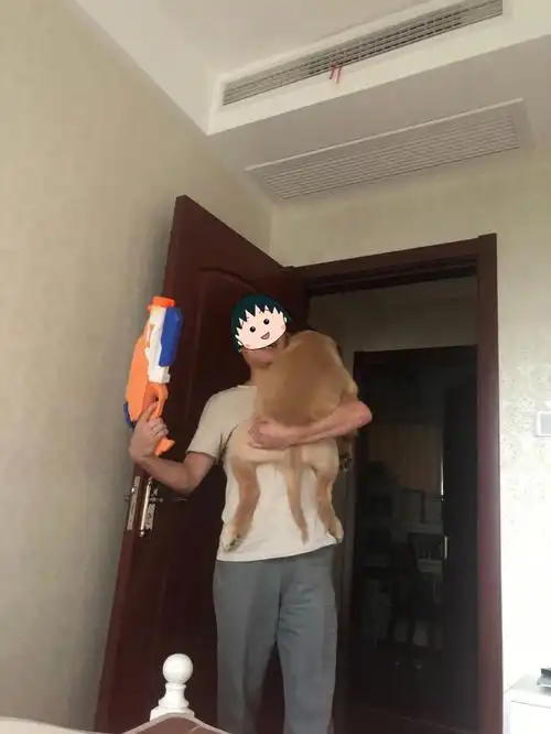 父爱如山啊老爹从小抱到大也是很拼了啊